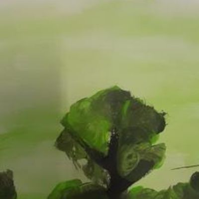 As part of our enquiry learning, in art we explored wash and transparency marks and strokes when painting to create these fabulous rainforest scenes