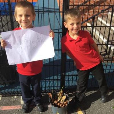 We made microhabitats as part of our enquiry lessons - what makes us proud of where we live!