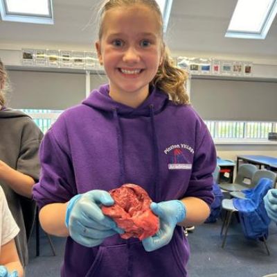 As part of our learning in science, we have had a visit from Leon's Legacy where we dissected hearts!
