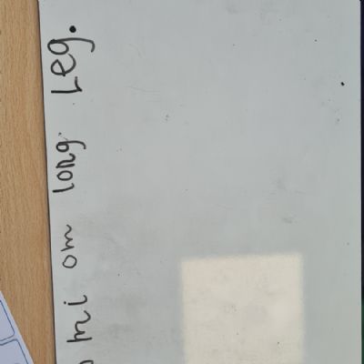 Year 1 Science Investigation