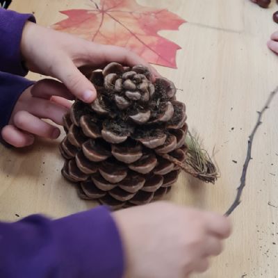 Science - exploring changing seasons!