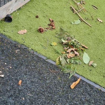 How can we be proud of our schools?