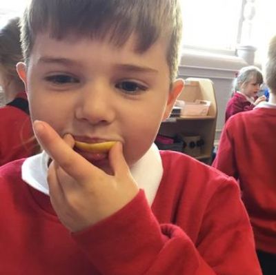 We investigated using our senses in Science - tasting lemons, hearing rice and touching cotton wool!
