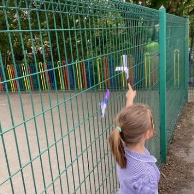 Investigating seed dispersal.